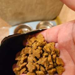 Фото отзыва 10728330