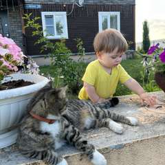 Фото отзыва 7065213