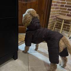 Фото отзыва 10458725