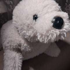 Фото отзыва 2413904