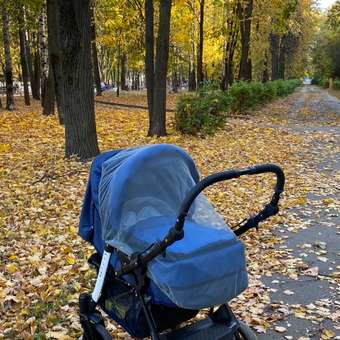 Коляска трансформер Babyton Pillo OX Denim-Blue: отзыв пользователя ДетМир