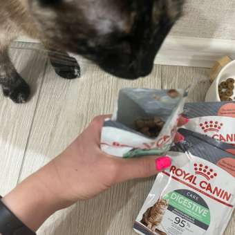 Корм для кошек Royal Canin 85г Digestive Care соус: отзыв пользователя. Зоомагазин Зоозавр