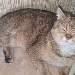 Фото отзыва 10449745