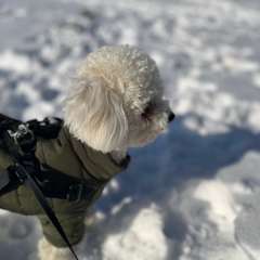 Фото отзыва 11066601