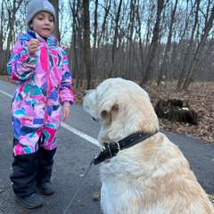 Фото отзыва 10935493