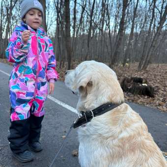 Комбинезон NIKASTYLE: отзыв пользователя Детский Мир