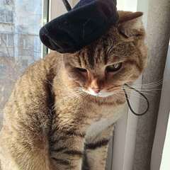 Фото отзыва 10650763