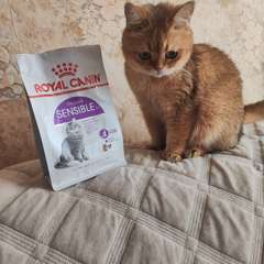 Фото отзыва 10941513