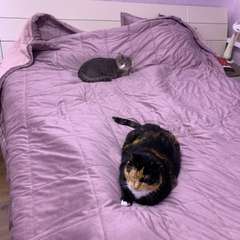 Фото отзыва 10896719