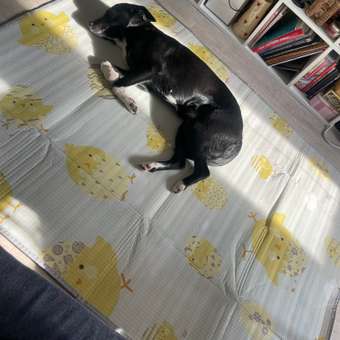 Детский складной Mamagoods Цыплята и воздушные шары 120 x 150 см 1 шт.: отзыв пользователя Детский Мир