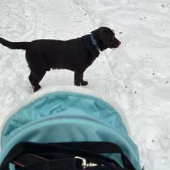 Фото отзыва 6205770