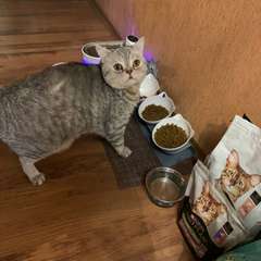 Фото отзыва 10932707