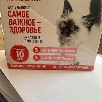 Корм для кошек Royal Canin 85г*10шт Kitten: отзыв пользователя. Зоомагазин Зоозавр