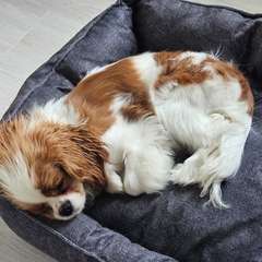 Фото отзыва 10649988