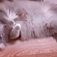 Фото отзыва 10523033