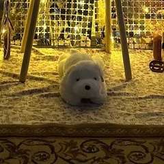 Фото отзыва 10737210