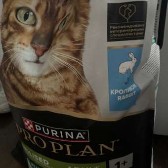 Корм сухой для кошек PRO PLAN RENAL PLUS 10 кг с кроликом для стерилизованных: отзыв пользователя. Зоомагазин Зоозавр