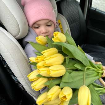 Автокресло Olsson Grow Fast Beige Isofix 0+/1/2/3 (0-36 кг) бежевый: отзыв пользователя ДетМир