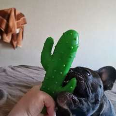 Фото отзыва 10274919