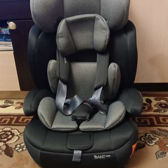 Автокресло Rant Basic Spark 1/2/3 (9-36 кг) серый: отзыв пользователя Детский Мир