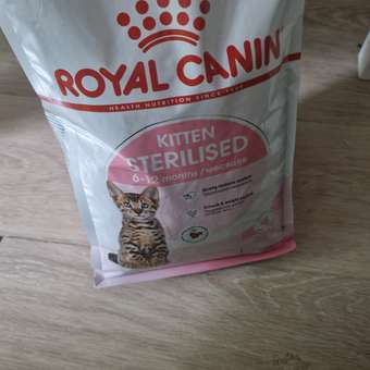 Корм сухой для котят ROYAL CANIN Sterilised 2кг стерилизованных: отзыв пользователя. Зоомагазин Зоозавр