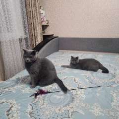 Фото отзыва 10891068