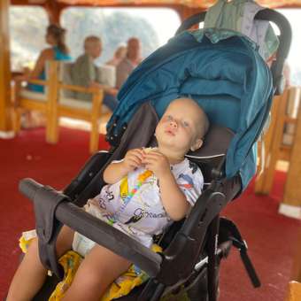 Коляска прогулочная Babyton Comfort Plus Blue: отзыв пользователя ДетМир