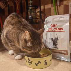 Фото отзыва 10591603