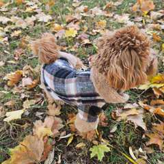 Фото отзыва 10433935