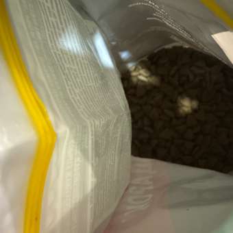 Корм для собак PRO PLAN Optidegest мелких и карликовых пород с чувствительным пищеварением ягненок-рис 2.5кг+500г 67208: отзыв пользователя. Зоомагазин Зоозавр