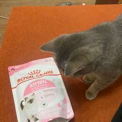 Фото отзыва 10737181