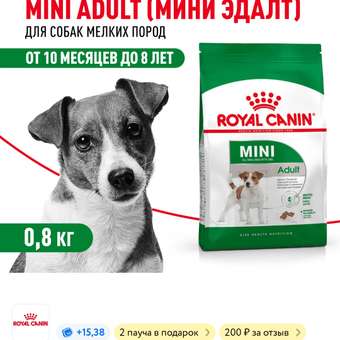 Корм для собак ROYAL CANIN мелких пород 800г: отзыв пользователя. Зоомагазин Зоозавр