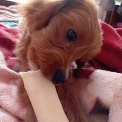 Фото отзыва 11038297