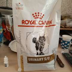 Фото отзыва 11021536