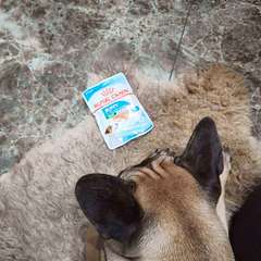 Фото отзыва 10979355