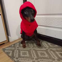 Фото отзыва 10724891