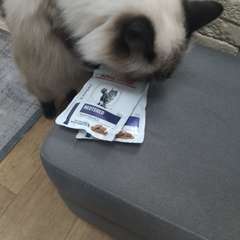 Фото отзыва 10781064