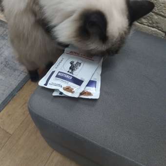 Корм для кошек ROYAL CANIN Neutered Maintenance 85г пауч: отзыв пользователя. Зоомагазин Зоозавр