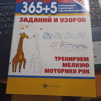 Набор из 3 книг Феникс 365+5 заданий и узоров: отзыв пользователя Детский Мир