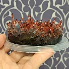 Фото отзыва 11026274