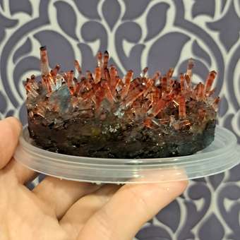 Набор для опытов Attivio Драгоценный кристалл большой: отзыв пользователя Детский Мир