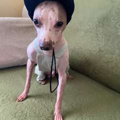 Фото отзыва 9895422