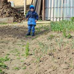 Фото отзыва 11148303