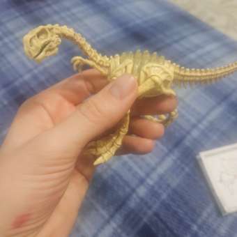 Набор для раскопок Zuru ROBO ALIVE Dino Fossil: отзыв пользователя ДетМир