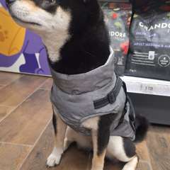 Фото отзыва 10430952