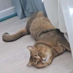 Фото отзыва 10649756