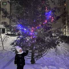 Фото отзыва 10842142