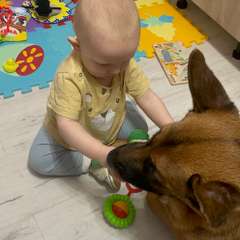 Фото отзыва 11167203