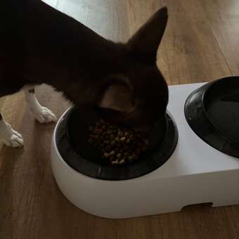 Корм для собак ROYAL CANIN породы чихуахуа 500г: отзыв пользователя. Зоомагазин Зоозавр