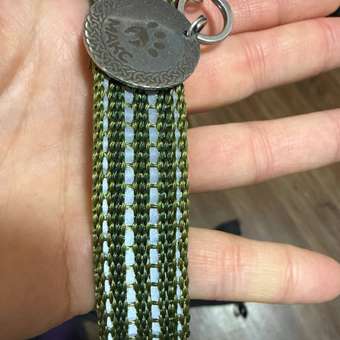 Ошейник для собак Barbaks зеленый светоотражающий 4 полосы S/M 2*27-40см полиэстер: отзыв пользователя. Зоомагазин Зоозавр